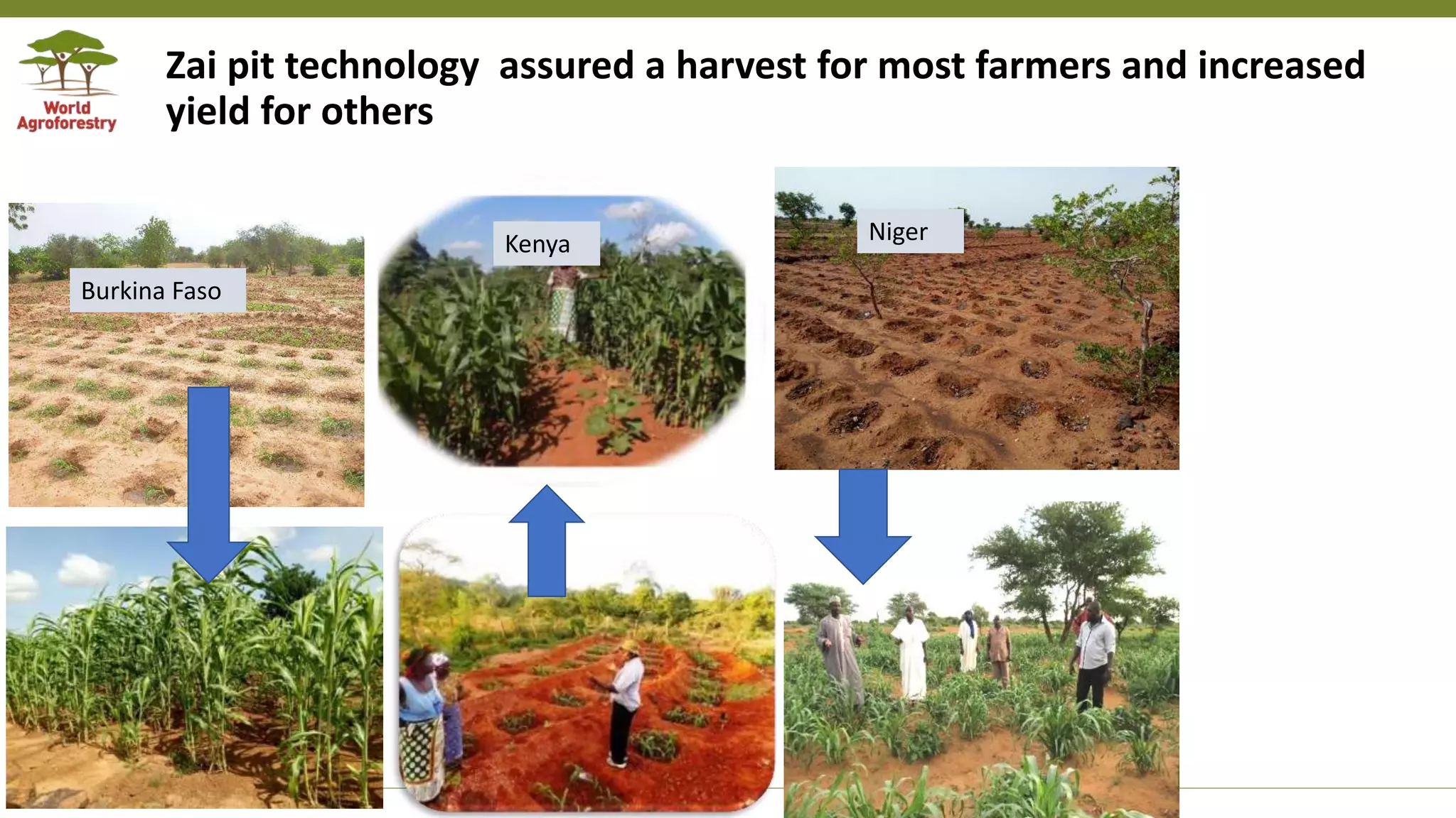 Transforming Lives and Landscapes with Trees
Zai pit technology assured a harvest for most farmers and increased
yield for others
NigerKenya
Burkina Faso
 