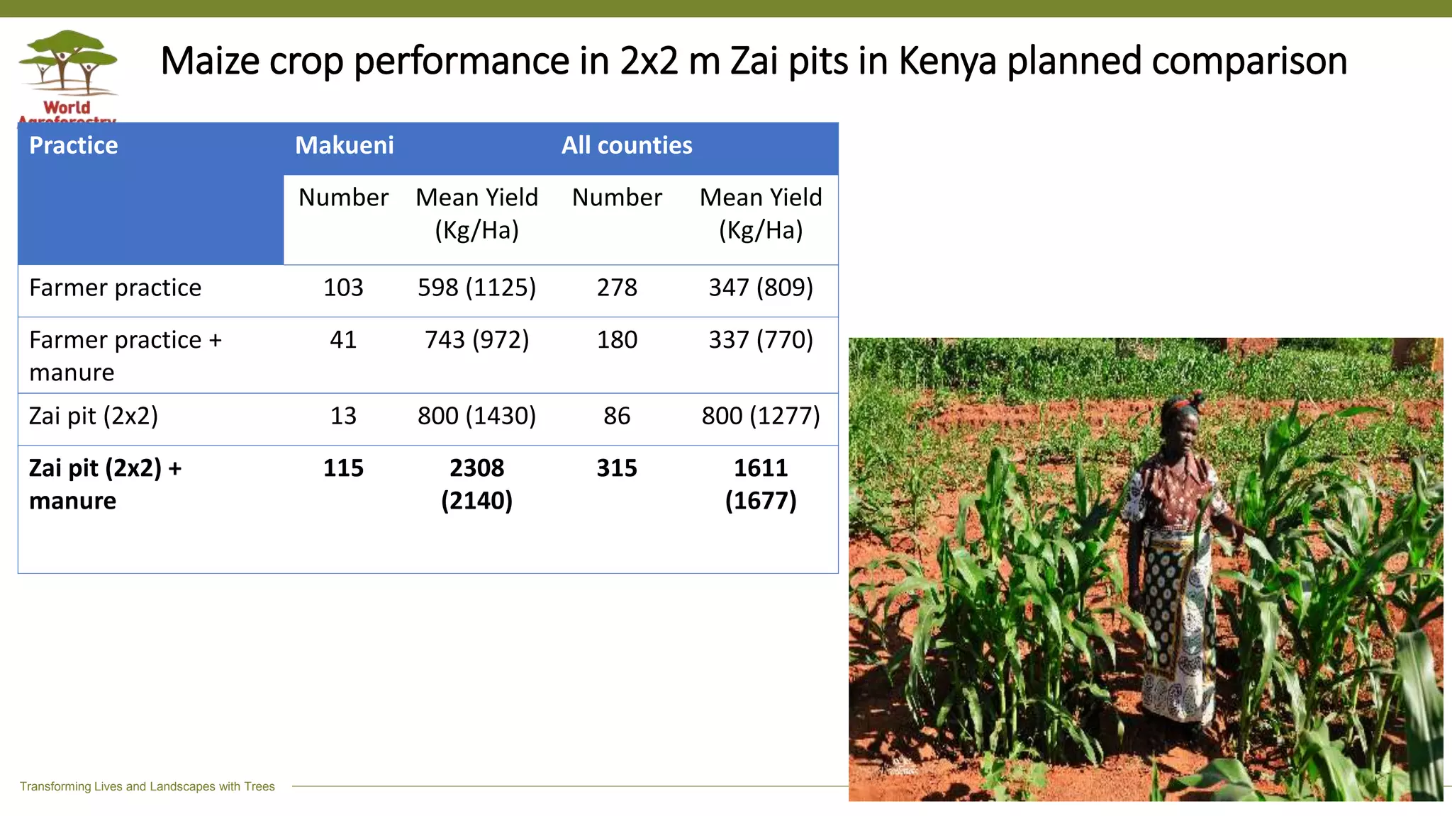 Transforming Lives and Landscapes with Trees
Maize crop performance in 2x2 m Zai pits in Kenya planned comparison
Practice Makueni All counties
Number Mean Yield
(Kg/Ha)
Number Mean Yield
(Kg/Ha)
Farmer practice 103 598 (1125) 278 347 (809)
Farmer practice +
manure
41 743 (972) 180 337 (770)
Zai pit (2x2) 13 800 (1430) 86 800 (1277)
Zai pit (2x2) +
manure
115 2308
(2140)
315 1611
(1677)
 