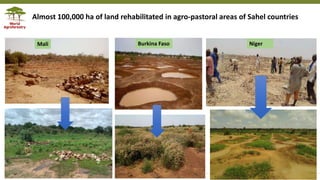 Transforming Lives and Landscapes with Trees
Burkina Faso Niger
Almost 100,000 ha of land rehabilitated in agro-pastoral areas of Sahel countries
Mali
 
