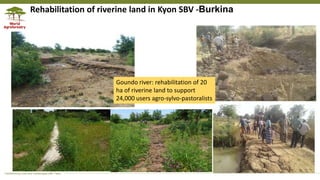 Transforming Lives and Landscapes with Trees
Rehabilitation of riverine land in Kyon SBV -Burkina
Goundo river: rehabilitation of 20
ha of riverine land to support
24,000 users agro-sylvo-pastoralists
 