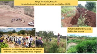 Transforming Lives and Landscapes with Trees
Kenya, Machakos, Ndivuni:
Rehabilitation of land through trenches, seed balling, FMNR
Rehabilitated land improved
fodder, bee keeping
Sand dam: Improved water security for 900 HHs
and over 13,550 livestock and micro irrigation
 