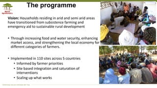 Transforming Lives and Landscapes with Trees
The programme
Vision: Households residing in arid and semi arid areas
have transitioned from subsistence farming and
emergency aid to sustainable rural development
• Through increasing food and water security, enhancing
market access, and strengthening the local economy for
different categories of farmers.
• Implemented in 110 sites across 5 countries
• Informed by farmer priorities
• Site based integration and saturation of
interventions
• Scaling up what works
 