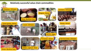 Transforming Lives and Landscapes with Trees
Relatively successful value chain commodities
Potatoes -Ethiopia
Shea -Burkina Faso
Honey -Kenya
Goats -Ethiopia
Harricot bean -Ethiopia
NTFPs -Niger
Green grams -Kenya
Magoes -Kenya
Chickens -Ethiopia
Onion -Burkina Faso
Millet, soghum -Mali
Tomatoes -Kenya
 
