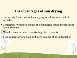 Disadvantages of sun drying
• uncontrolled, and non uniform drying, results in sun cracks in
kernels.
• Completely weather dependent, not possible round the clock and
round the year.
• More losses occur due to shattering, birds, rodents.
• Require large drying floor and large number of unskilled labor.
16
 