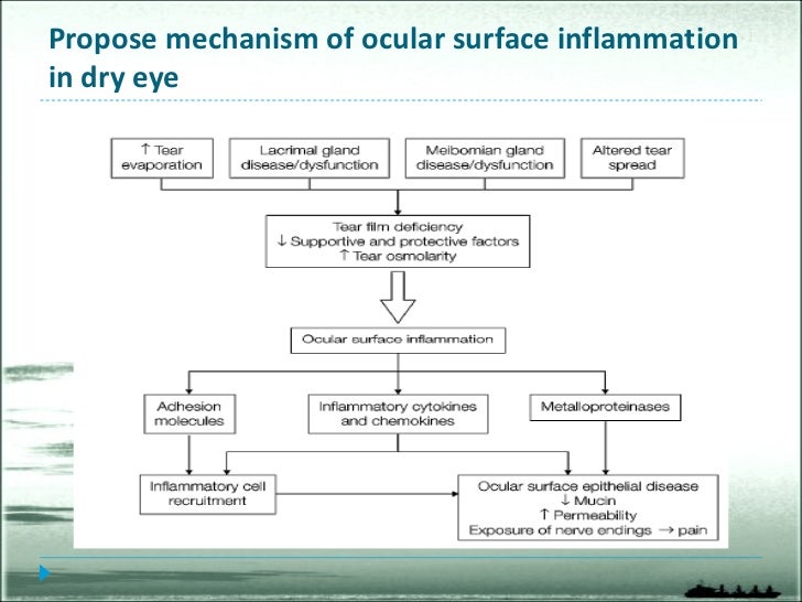 Surviving Dry Eye Pain