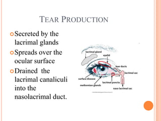 TEAR PRODUCTION
 Secreted by the
  lacrimal glands
 Spreads over the
  ocular surface
 Drained the
  lacrimal canaliculi
  into the
  nasolacrimal duct.
 