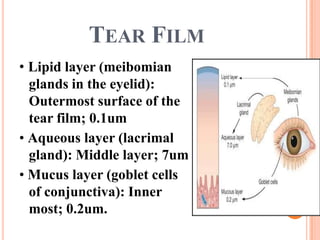 TEAR FILM
• Lipid layer (meibomian
  glands in the eyelid):
  Outermost surface of the
  tear film; 0.1um
• Aqueous layer (lacrimal
  gland): Middle layer; 7um
• Mucus layer (goblet cells
  of conjunctiva): Inner
  most; 0.2um.
 
