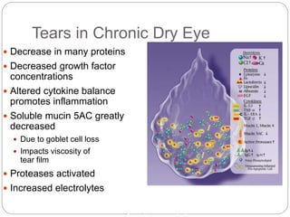 Tears in Chronic Dry Eye
 Decrease in many proteins
 Decreased growth factor
concentrations
 Altered cytokine balance
promotes inflammation
 Soluble mucin 5AC greatly
decreased
 Due to goblet cell loss
 Impacts viscosity of
tear film
 Proteases activated
 Increased electrolytes Solomon et al. Invest Ophthalmol Vis Sci. 2001.
Zhao et al. Cornea. 2001.
Ogasawara et al. Graefes Arch Clin Exp Ophthalmol. 1996.
Image adapted from: Dry Eye and Ocular Surface Disorders. 2004.
 