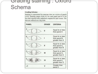 Grading staining : Oxford
Schema
 