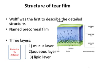 Structure of tear film
• Wolff was the first to describe the detailed
structure.
• Named precorneal film
• Three layers:
1) mucus layer
2)aqueous layer
3) lipid layer
Posterior
To
Anterior
2
 