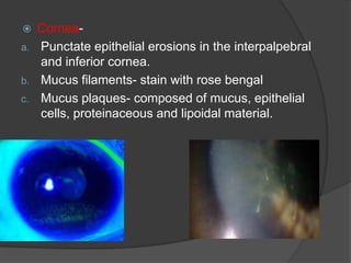  Cornea-
a. Punctate epithelial erosions in the interpalpebral
and inferior cornea.
b. Mucus filaments- stain with rose bengal
c. Mucus plaques- composed of mucus, epithelial
cells, proteinaceous and lipoidal material.
 