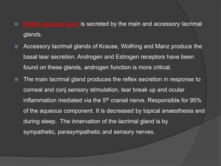 Middle aqueous layer is secreted by the main and accessory lacrimal
glands.
 Accessory lacrimal glands of Krause, Wolfring and Manz produce the
basal tear secretion. Androgen and Estrogen receptors have been
found on these glands, androgen function is more critical.
 The main lacrimal gland produces the reflex secretion in response to
corneal and conj sensory stimulation, tear break up and ocular
inflammation mediated via the 5th cranial nerve. Responsible for 95%
of the aqueous component. It is decreased by topical anaesthesia and
during sleep. The innervation of the lacrimal gland is by
sympathetic, parasympathetic and sensory nerves.
 