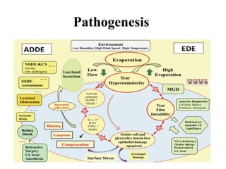 Pathogenesis
 