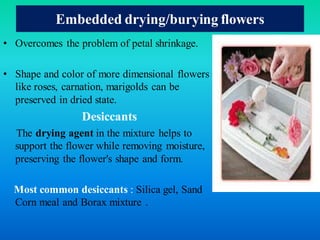Embedded Drying Dry flower. dry flower technology , advantage of dry flower technology ...