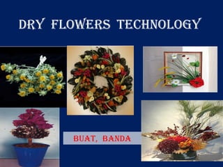 BUAT, Banda
Dry flowers Technology
 