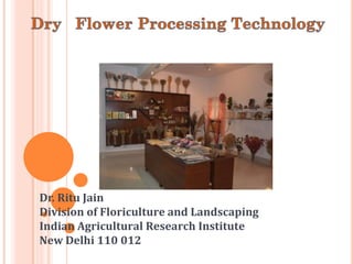 Dr. Ritu Jain
Division of Floriculture and Landscaping
Indian Agricultural Research Institute
New Delhi 110 012
 