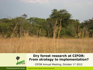 Dry forest research at CIFOR:
From strategy to implementation?
   CIFOR Annual Meeting, October 1st 2012
 