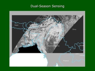 Dual-Season SensingDual-Season Sensing
 