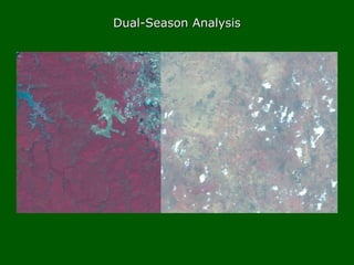 Dual-Season AnalysisDual-Season Analysis
 