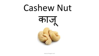 Cashew Nut
काजू
www.achhagyan.com
 