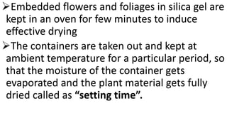 Embedded Drying Dryig method of flower part3#dry flower#ornamentalAGRI #SILVI #GURU# ...