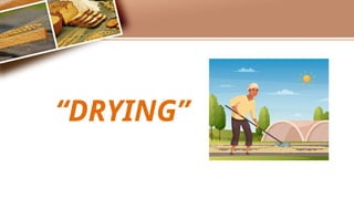 important ppt on the process of drying.pptx