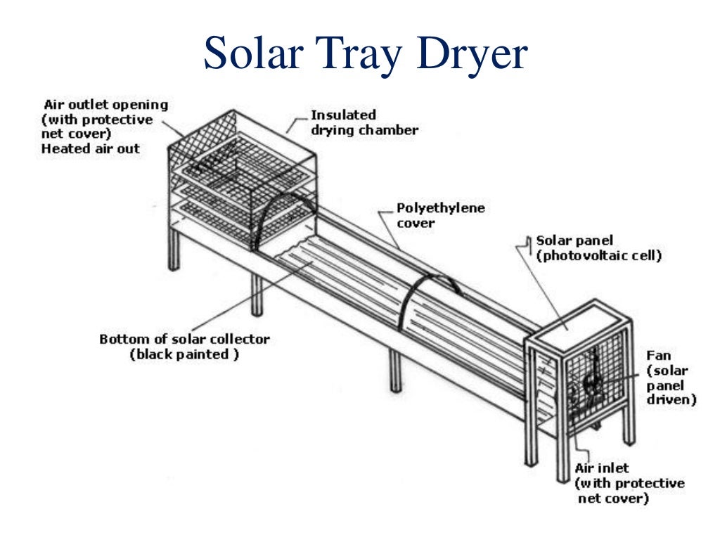 Drying and dehydration of fruits and vegetables