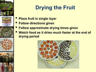 DRYING FRUITS AND VEGETABLES AND ITS EFFECT.ppt