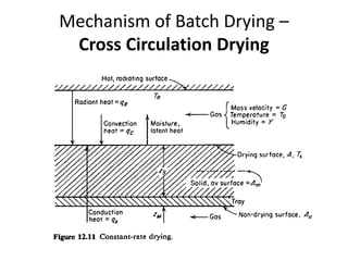 Mechanism of Batch Drying –
Cross Circulation Drying
 
