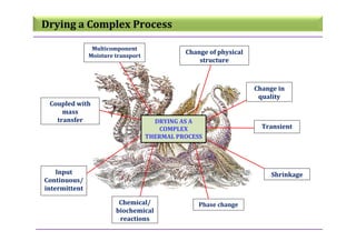 Drying_Principles and Practice.pdf