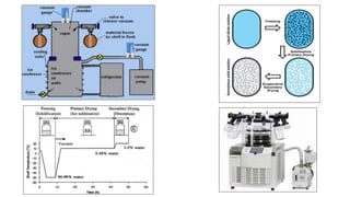 Drying process | PDF