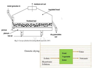 Osmotic drying
 