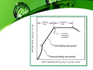 Drying Systems - Drying Curve - Definition