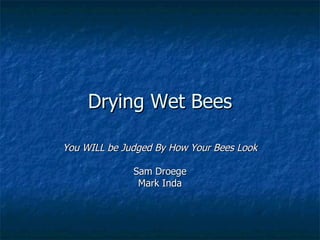Drying Wet Bees You WILL be Judged By How Your Bees Look Sam Droege Mark Inda 