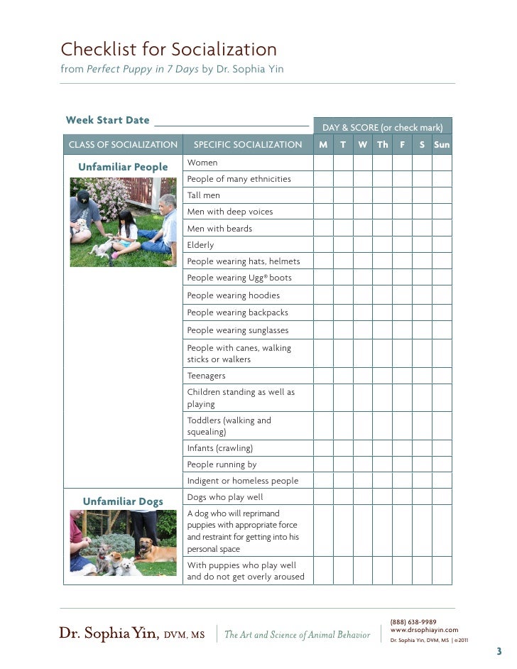 puppy socialization checklist puppy socialization list puppy socialization checklist puppy socialization list