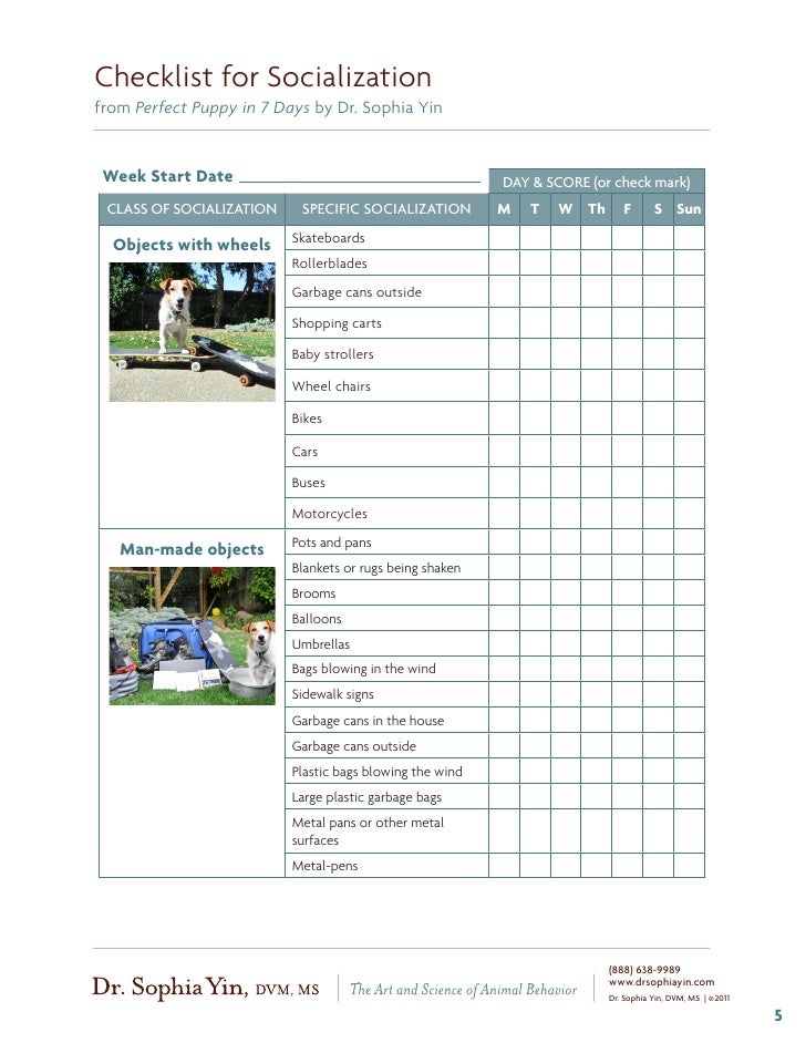 puppy socialization checklist puppy socialization list puppy socialization checklist puppy socialization list