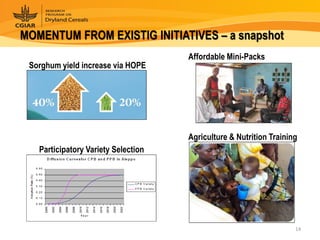 Dryland Cereals - Presentation for Discussion with Donors and Partners - June 2013