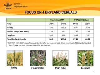 Dryland Cereals - Presentation for Discussion with Donors and Partners - June 2013