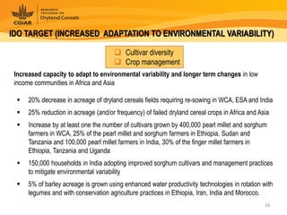 Dryland Cereals - Presentation for Discussion with Donors and Partners - June 2013