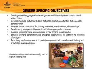 Dryland Cereals - Presentation for Discussion with Donors and Partners - June 2013