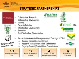 Dryland Cereals - Presentation for Discussion with Donors and Partners - June 2013