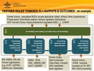 Dryland Cereals - Presentation for Discussion with Donors and Partners - June 2013