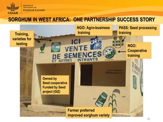 Dryland Cereals - Presentation for Discussion with Donors and Partners - June 2013