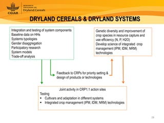 Dryland Cereals - Presentation for Discussion with Donors and Partners - June 2013
