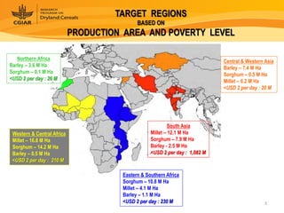 Dryland Cereals - Presentation for Discussion with Donors and Partners - June 2013