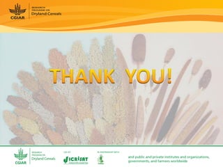 Dryland Cereals - Presentation for Discussion with Donors and Partners - June 2013