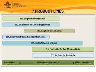Dryland Cereals - Presentation for Discussion with Donors and Partners - June 2013