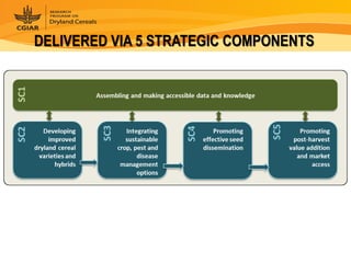 Dryland Cereals - Presentation for Discussion with Donors and Partners - June 2013