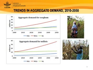 Dryland Cereals - Presentation for Discussion with Donors and Partners - June 2013