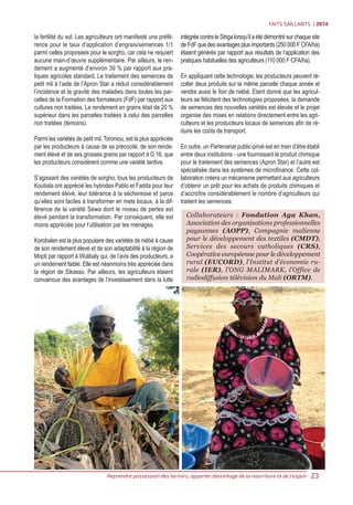 Large-scale diffusion of technologies for sorghum and millet systems in Mali (French)